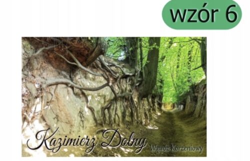 Magnes na lodówkę Kazimierz Dolny Polska Lubelskie - obrazek 6